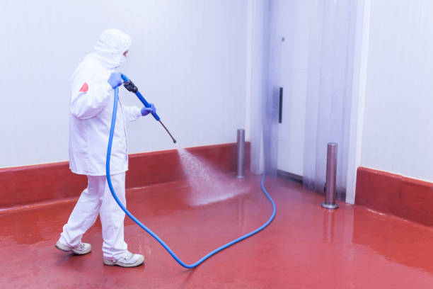 Best Gas Station Cleaning  in Meadows Place, TX