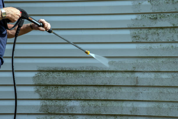 Best Dumpster Area Cleaning  in Meadows Place, TX