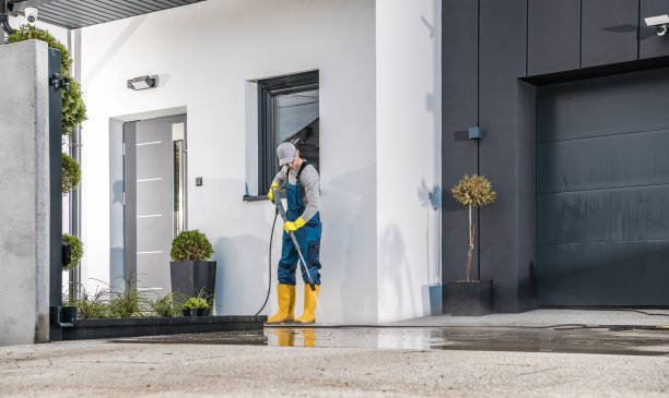 Best Rust Removal  in Meadows Place, TX